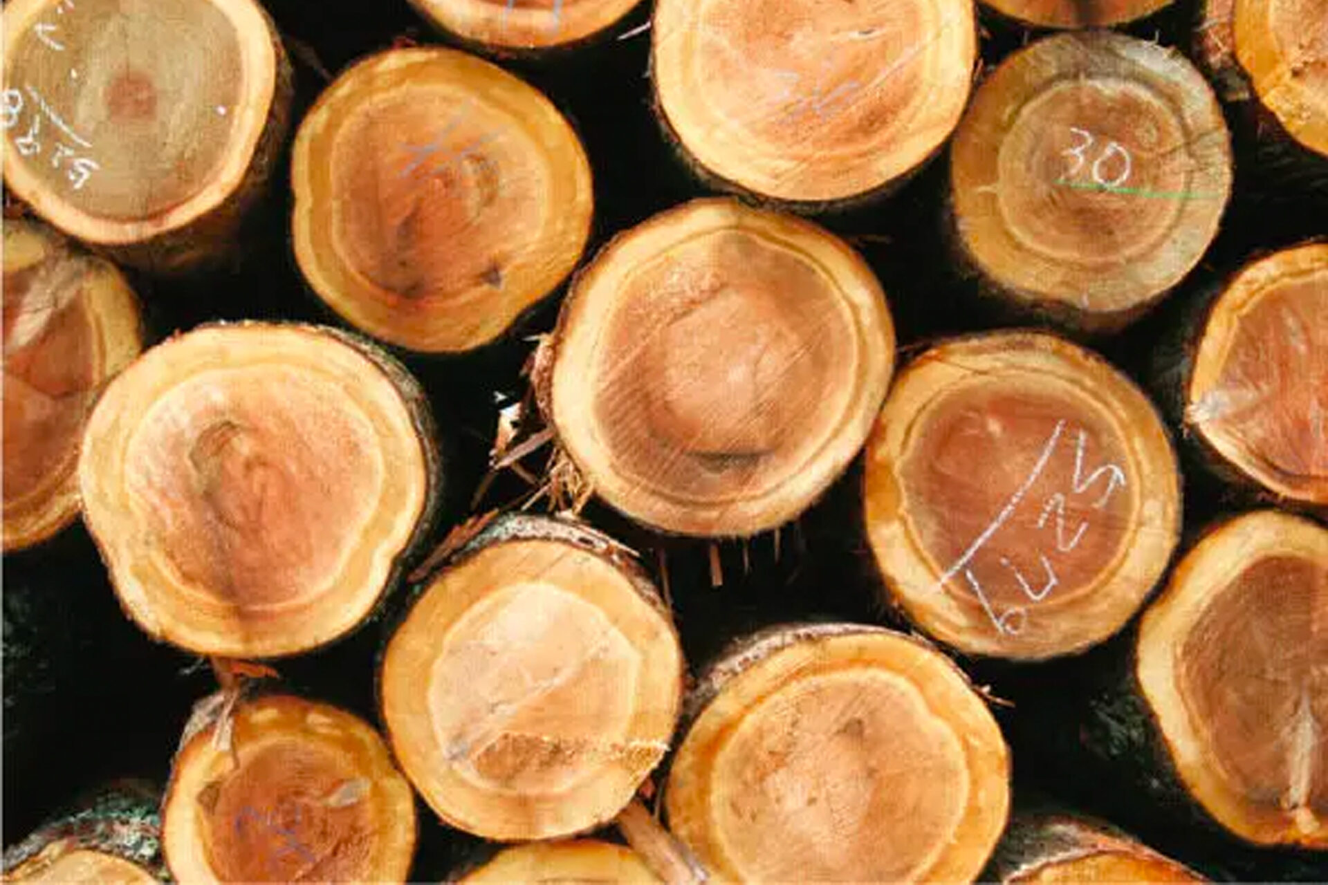 地元静岡県産の、無垢の芯持ちヒノキ柱