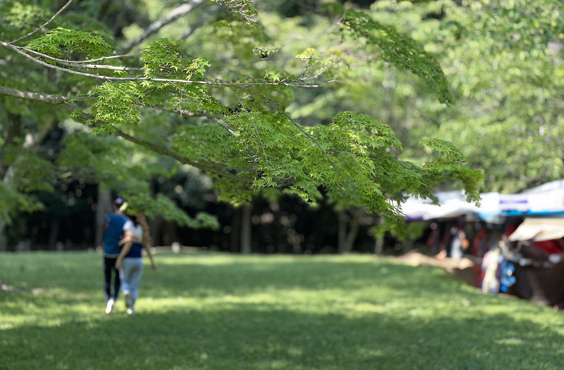 浜松でかなえる上質で健やかな暮らし。