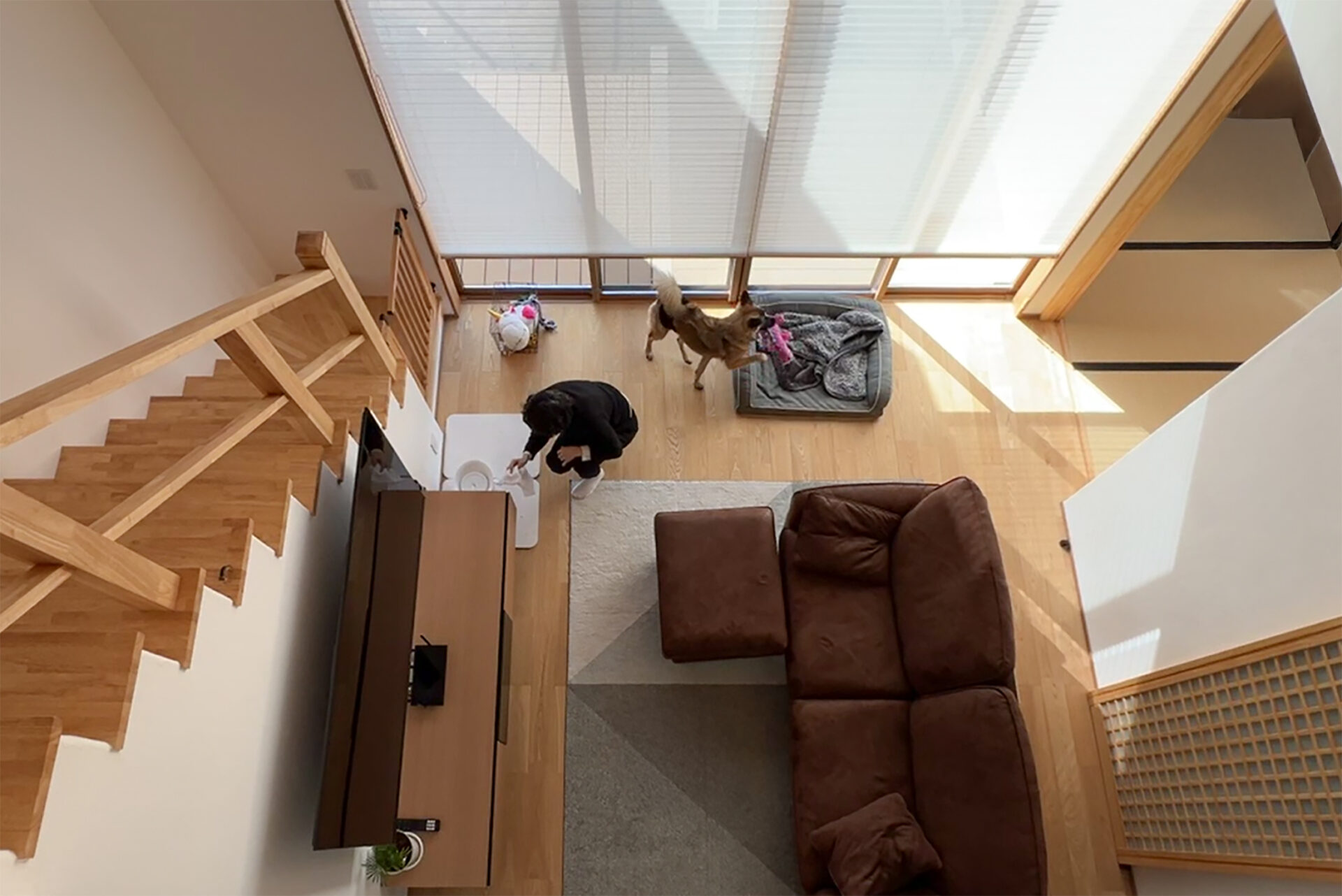 愛犬・愛猫と心地よく暮らす家づくりの工夫とは