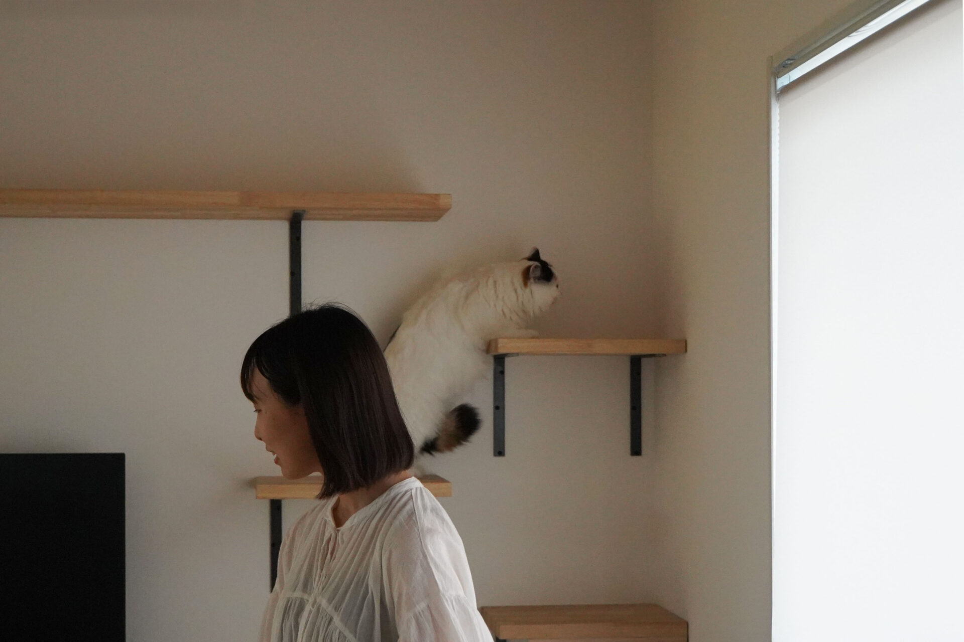 愛犬・愛猫と心地よく暮らす家づくりの工夫とは