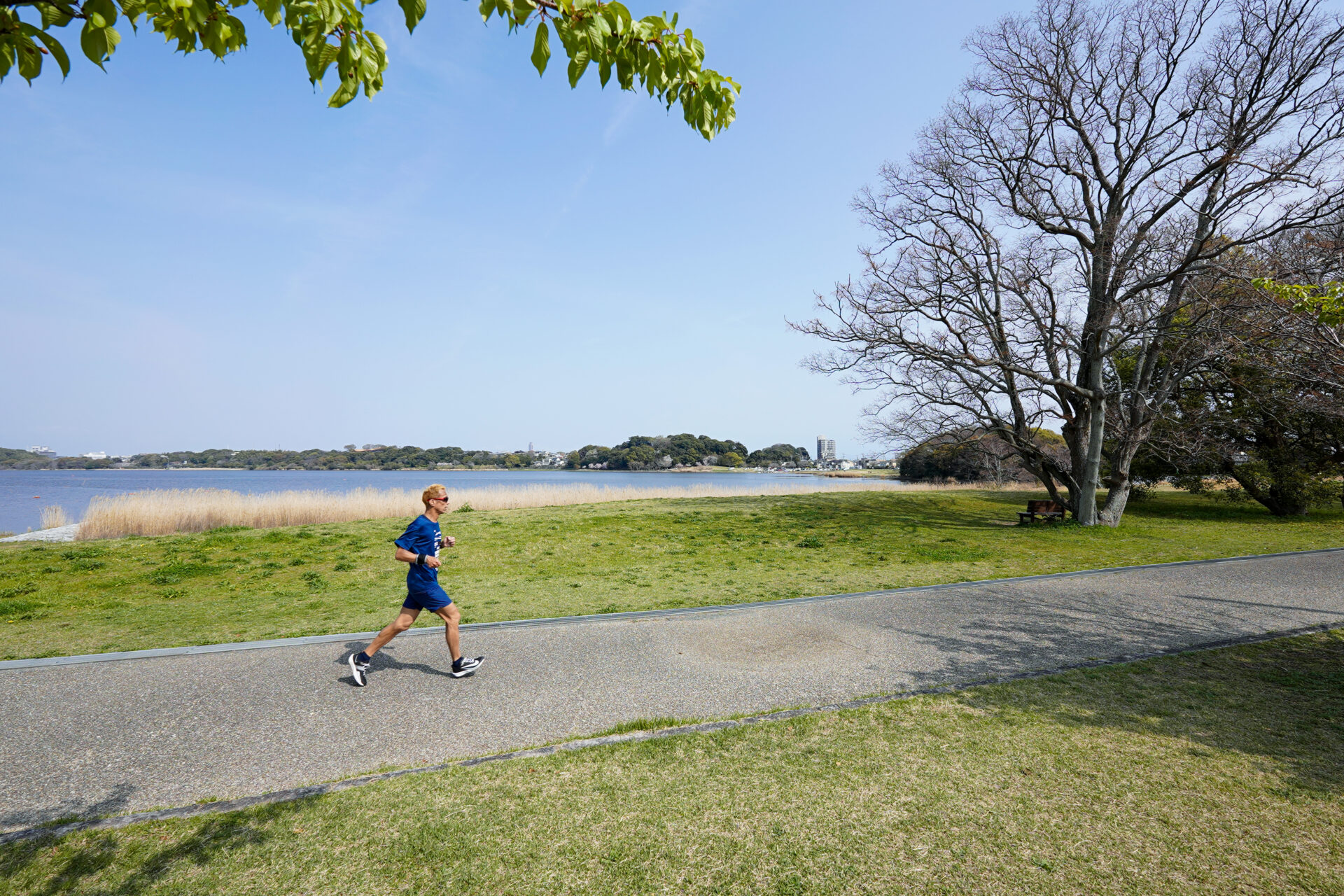 浜松の夏の風物詩「第37回佐鳴湖花火大会」
