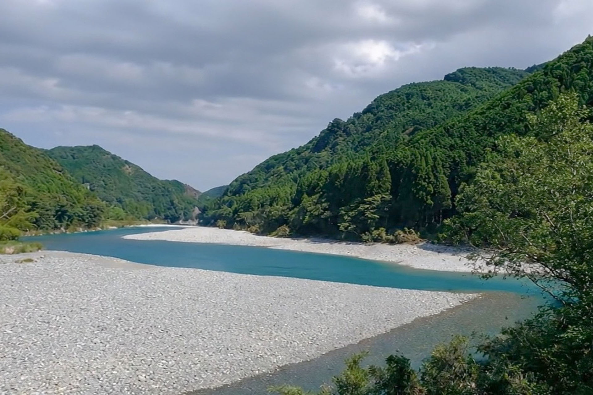天竜の森から、浜松の暮らしへ。一本のヒノキが家の柱になるまで