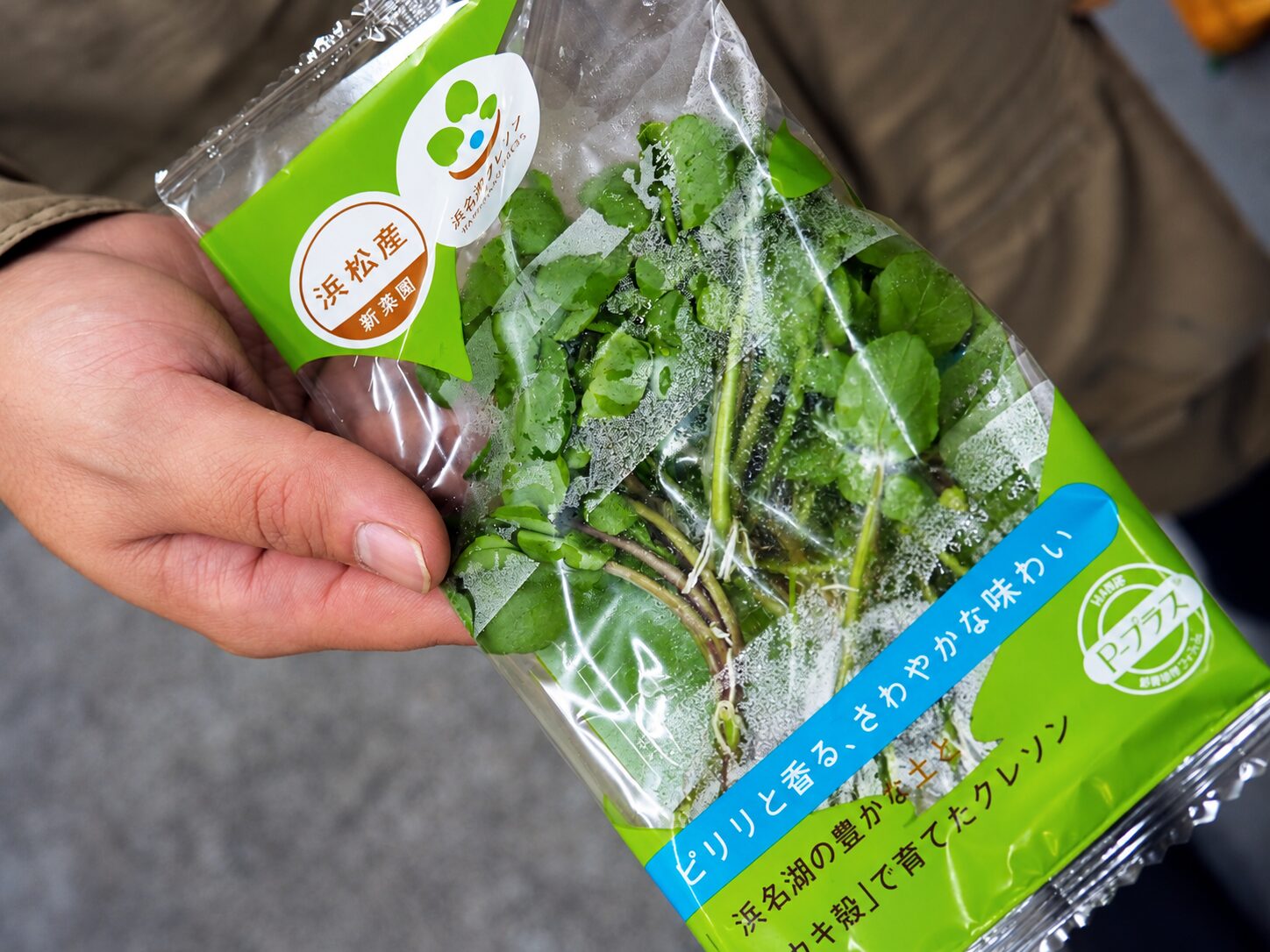 浜名湖クレソンのおいしさを全国へ。浜松の水と土で育む、地域の恵み。